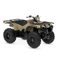 KODIAK 450 EPS