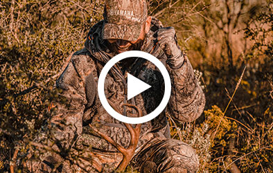 Click to play A Bow Hunting Quest