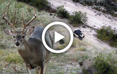 Click to play Passing on Bucks: Risk vs Reward - Part I