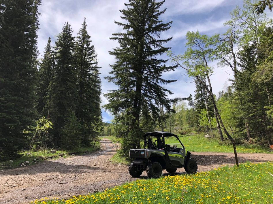 Discover Deadwood Image 0