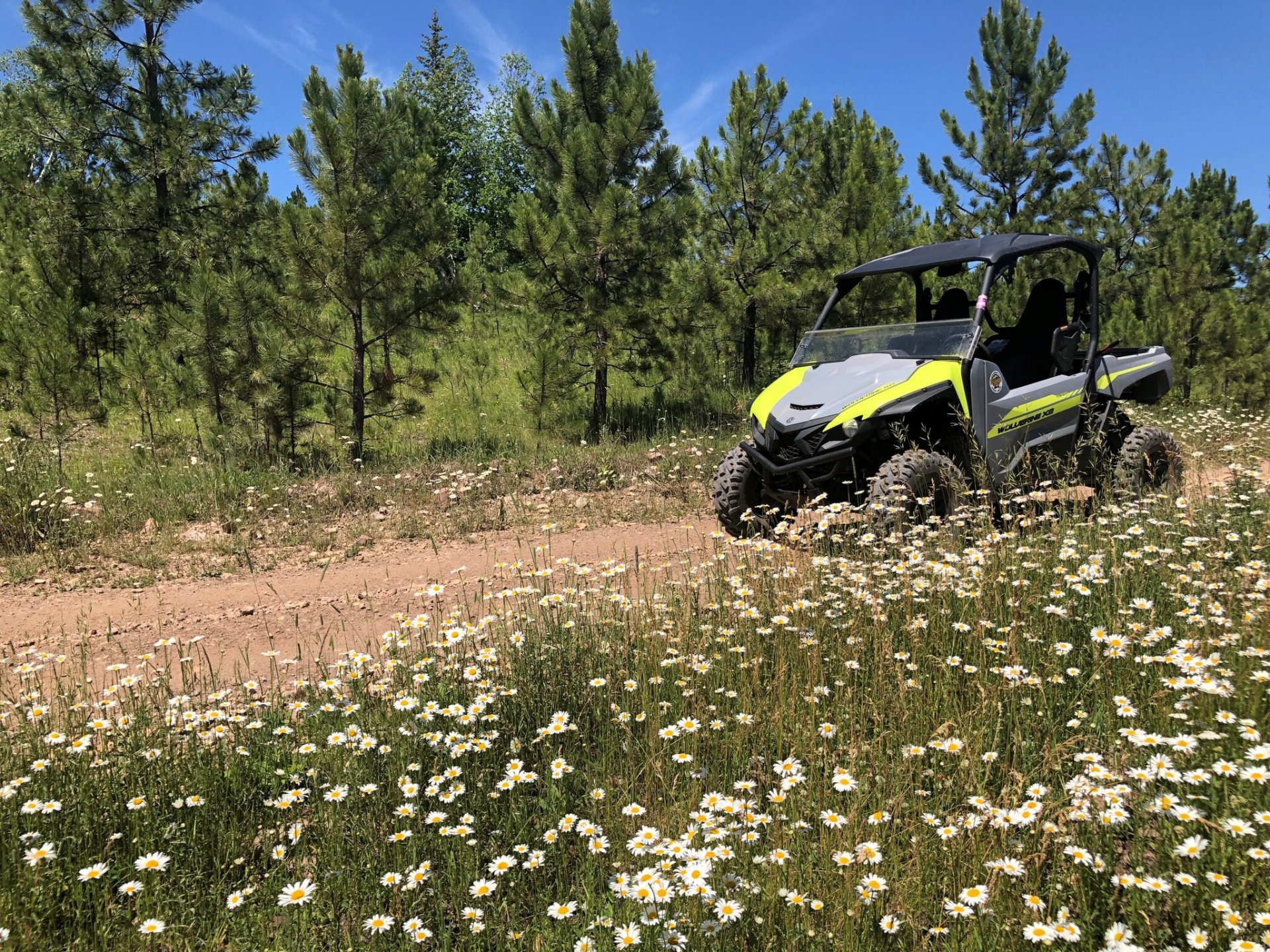 Mount Rushmore KOA Resort at Palmer Gulch Image 0