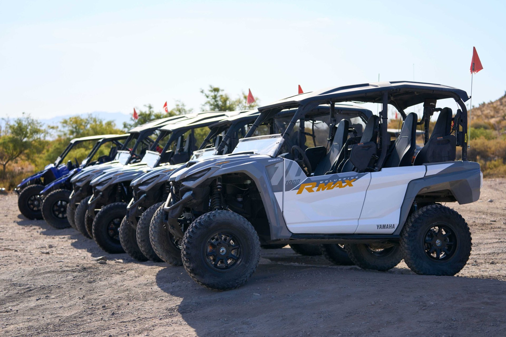 Tour of the Mojave Desert Image 2