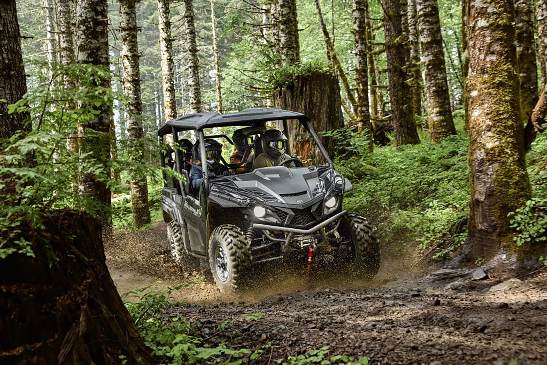 Overlook Zion National Park on the Markagunt Trail System Image 0