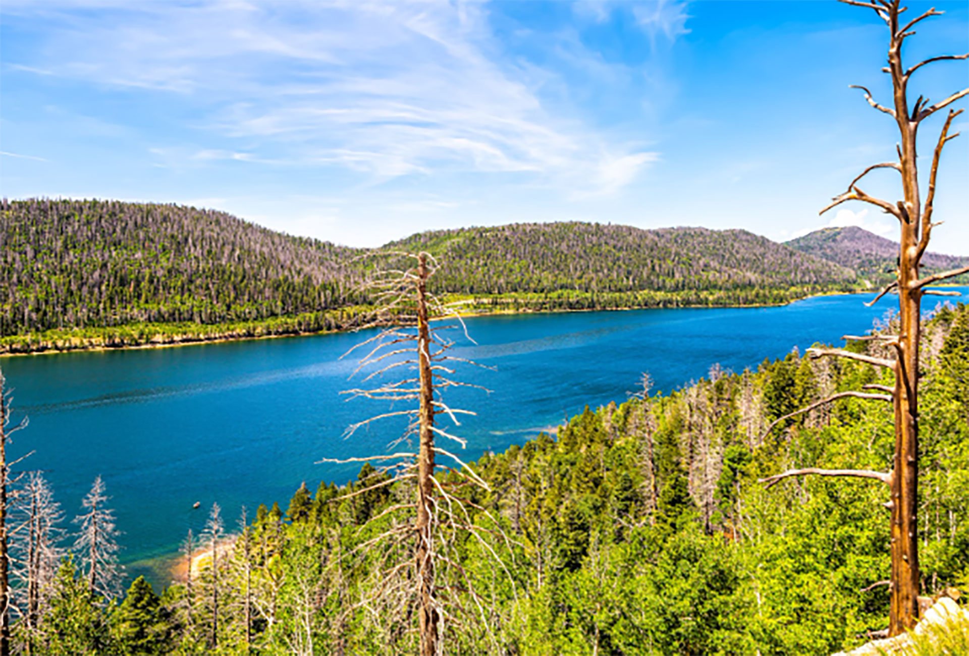 Overlook Zion National Park on the Markagunt Trail System Image 0