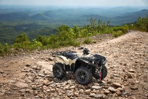 GRIZZLY EPS XT-R Beauty 2}