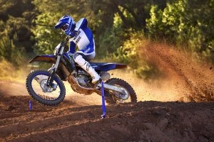 YZ250FME Action  8