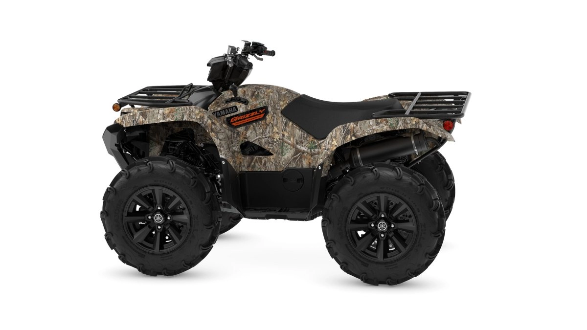 Grizzly in Camouflage